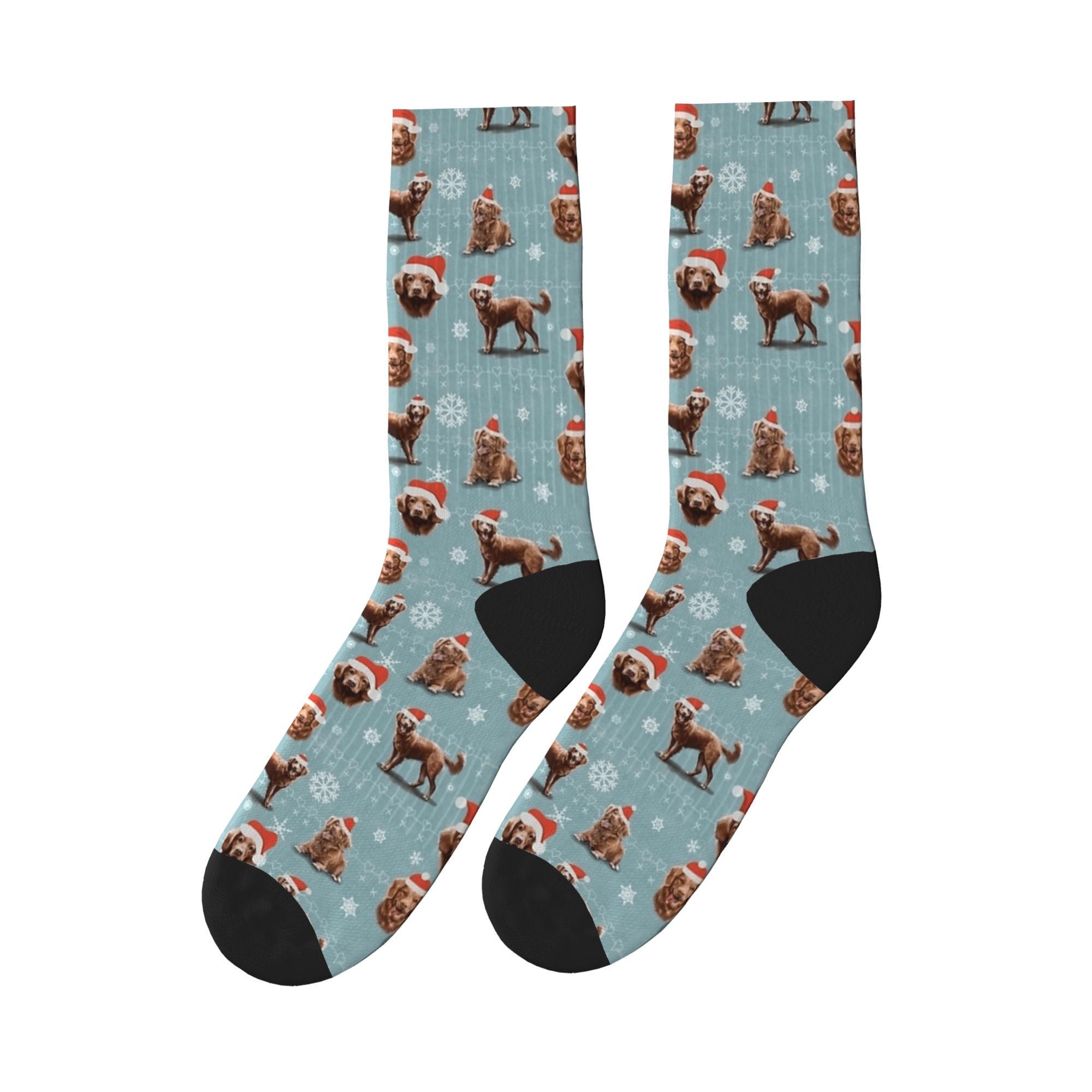 Men'S Fashion Nova - The Christmas Nova Scotia Duck Tolling