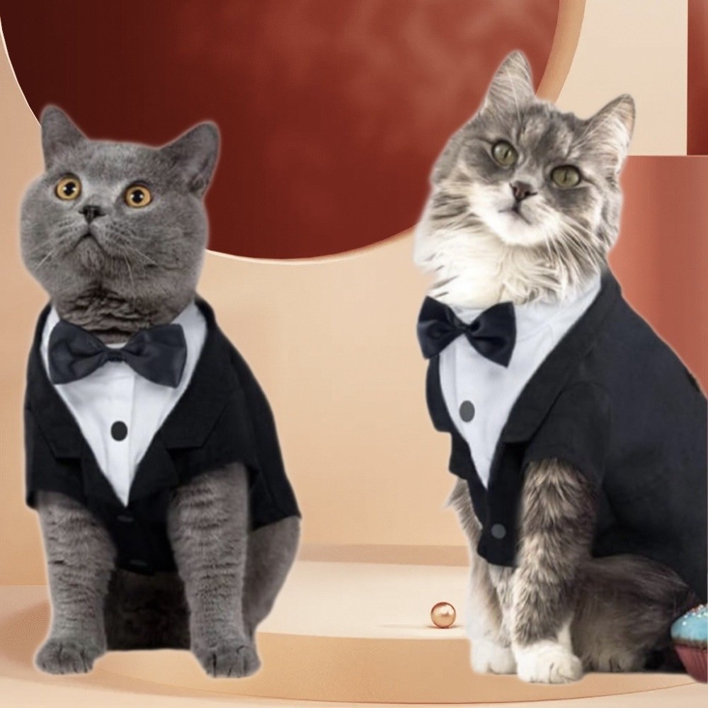 Cat Shirt Vest Clothing Cat Bi - Formal Waistcoat Vest avis et prix