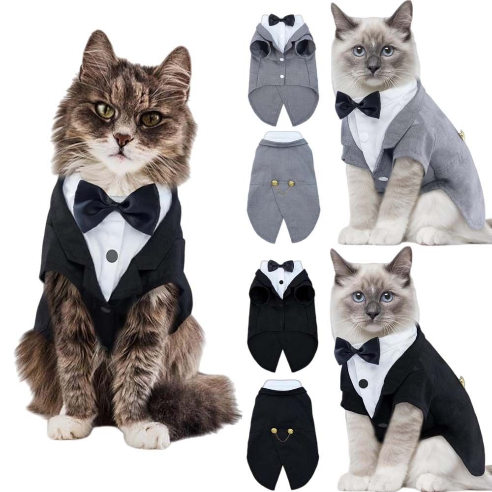 Cat Shirt Vest Clothing Cat Bi - Formal Waistcoat Vest avis et prix