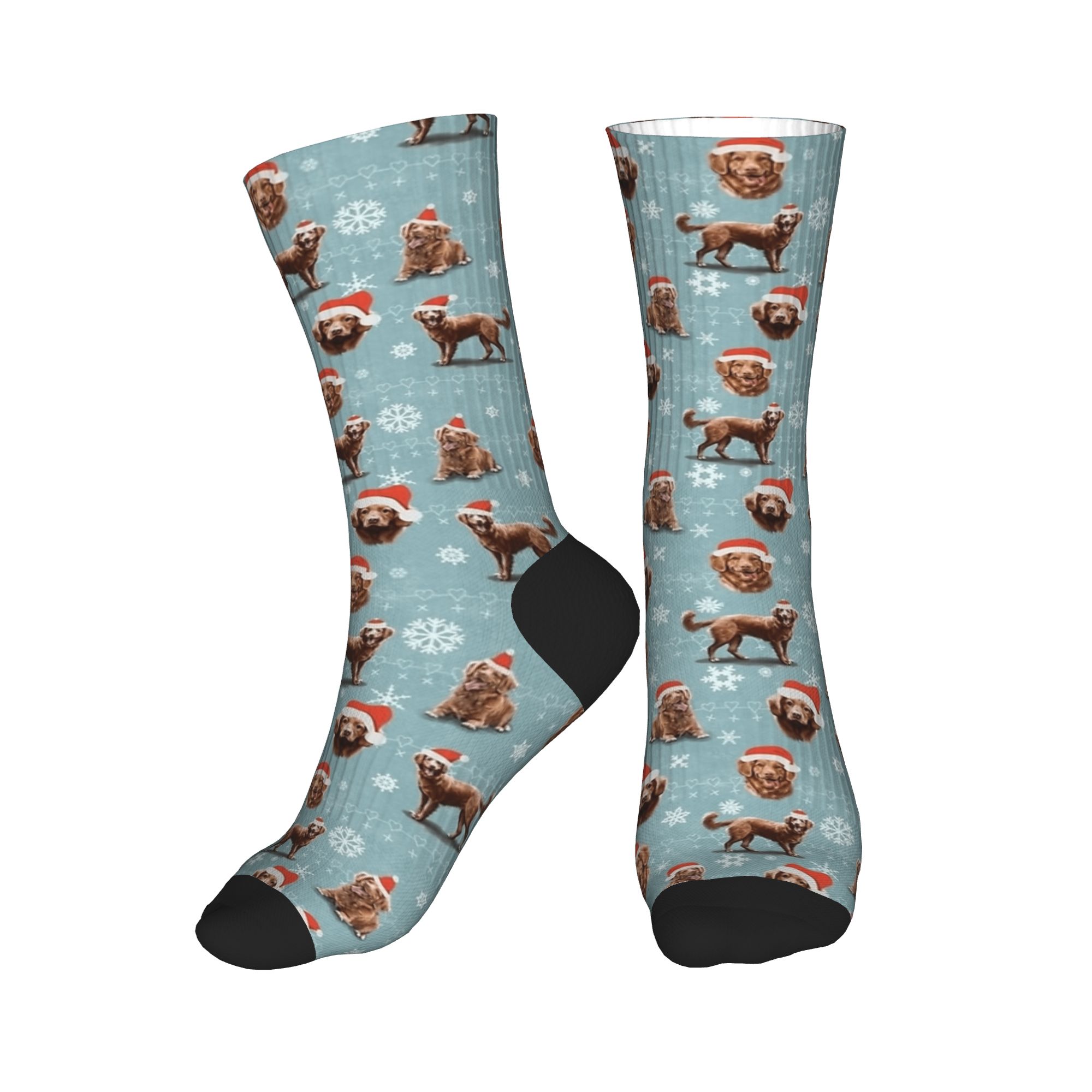 The Christmas Nova Scotia Duck - Men'S Fashion Nova avis et prix